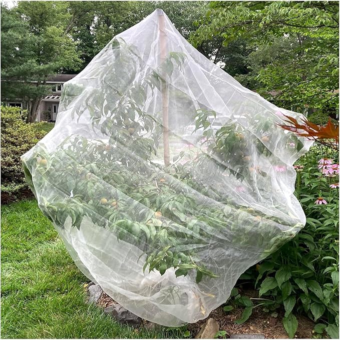 6.6 x 6.6 Ft Large Fruits Netting Cover with Zipper and Drawstring, Insect Bird Barrier Netting to Protect Fruit From Birds for Bugs,Cicadas, Insects, Garden Insect Netting for Plant Cover Transparent