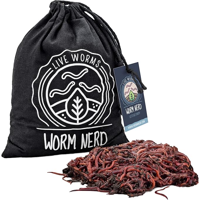 Worm Nerd Composting Worms – Live Red Wriggler Compost Worms Mix – Sustainable Compost Worms Live for Organic Materials - Worm Composting Set for Better Soil Structure 100 Worms *CANNOT SHIP TO HAWAII
