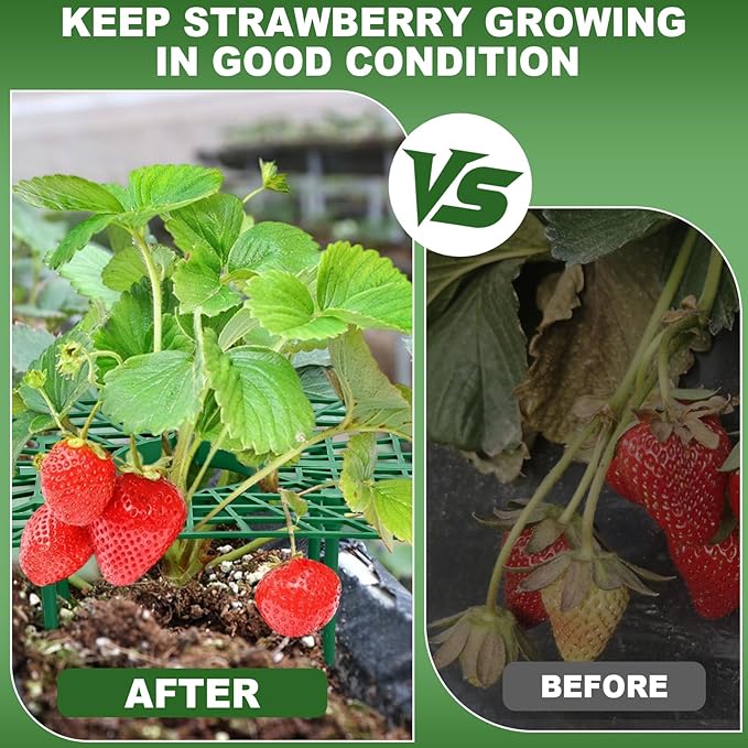8 Set Strawberry Plant Support with Wire Plant Protectors from Animals, 32.8Ft x 16In Metal Mesh Plant Cage Cover Guards and Strawberry Growing Rack Sets for Garden Strawberry Vegetables Plants