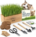 Cat Grass Kit for Indoor Cats – x4 Seed Packets | Cat Grass Seeds with Wooden Planter, Soil & Mini Gardening Tools for Nipping – Pet Wheatgrass Grass