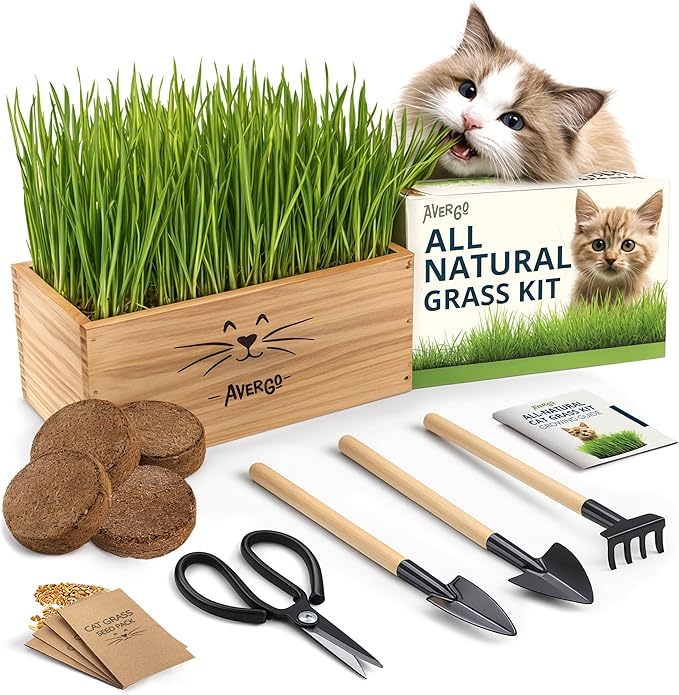 Cat Grass Kit for Indoor Cats – x4 Seed Packets | Cat Grass Seeds with Wooden Planter, Soil & Mini Gardening Tools for Nipping – Pet Wheatgrass Grass