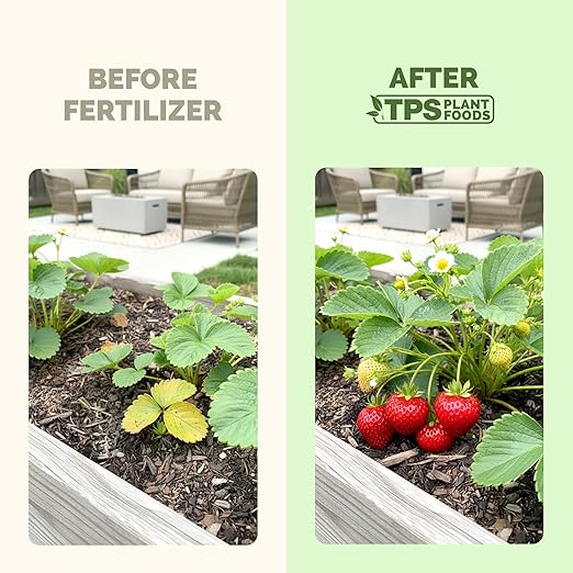 Strawberry Fertilizer – Liquid Strawberry Plant Food for Better Berry Production & Healthy Growth, 1 Gallon