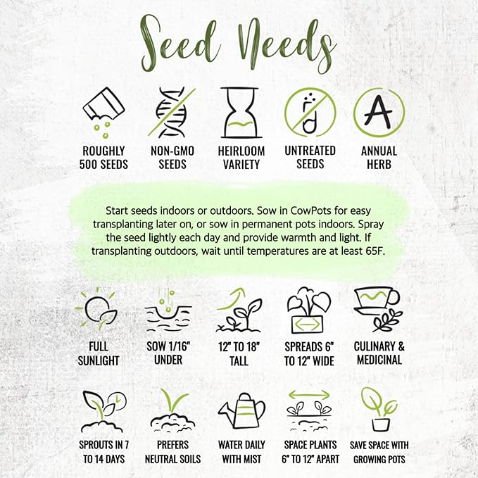 Seed Needs Summer Savory Seeds for Planting Herbs - Non-GMO Heirloom & Untreated Annual Herb Seed to Plant a Culinary Kitchen Garden Indoors or Outdoors (1 Pack)