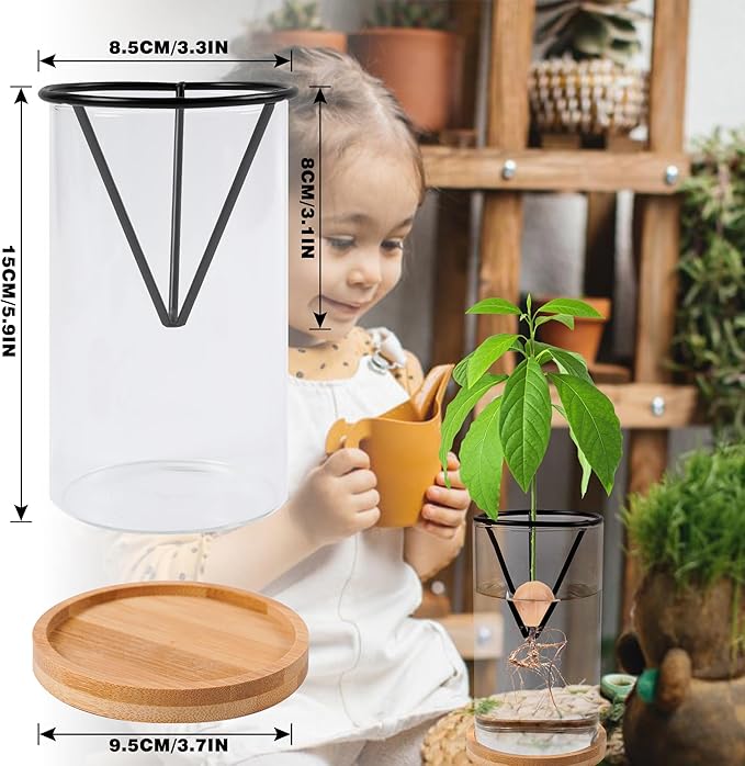 Avocado Tree Growing Kits, Avocado Growing Vase Wooden Base Avocado Seed Starter Vase Glass Plant Pot Easy Seed Sprout Starter Gift for Women Gardening Lovers Home Office Table Decoration