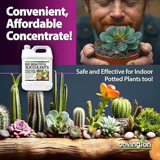 Covington Succulent Fertilizer Liquid (1 Gallon) – Cactus & Succulent Plant Food for Indoor and Outdoor Use – Slow Release Liquid Fertilizer for Houseplants – Made in USA