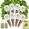 8-Pod Romaine Seed Pod Kit for Aerogarden, Includes Lettuce Seeds, Universal Hydroponic Pods Indoor Gardening Supplies (8-Pod)