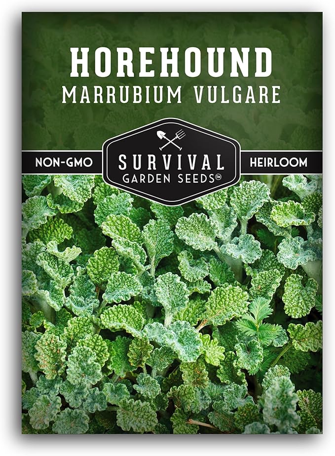 Survival Garden Seeds - Horehound Seeds for Planting - 1 Packet with Instructions to Plant and Grow Beneficial Marrubium Medicinal Herbs in Your Home Vegetable Garden - Non-GMO Heirloom Variety