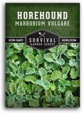 Survival Garden Seeds - Horehound Seeds for Planting - 1 Packet with Instructions to Plant and Grow Beneficial Marrubium Medicinal Herbs in Your Home Vegetable Garden - Non-GMO Heirloom Variety