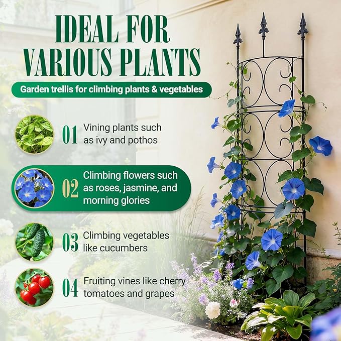 2 Pack 56.7'' H x 12'' W Garden Trellis for Climbing Plants Outdoor, Rustproof Metal Garden Flower Trellis, Rose Trellis for Outdoor Indoor Climbing Plants Clematis Vines Flowers Potted Plants, Tomato