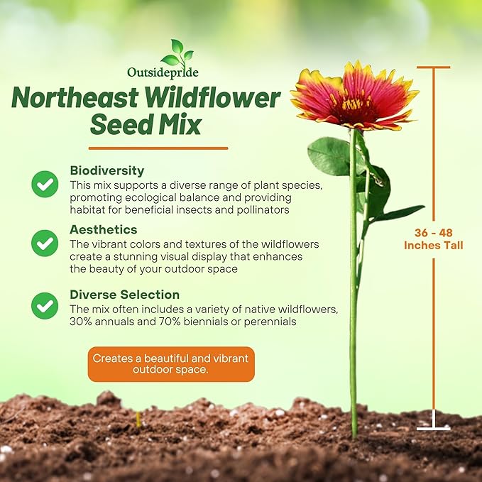 Outsidepride Northeast Wild Flower Seed Mix - 5 lbs Premium Blend of Vibrant Biennial & Annual Wildflower Seeds for Northeastern States, Ideal for Meadows, Borders & Gardens, & Attracting Pollinators