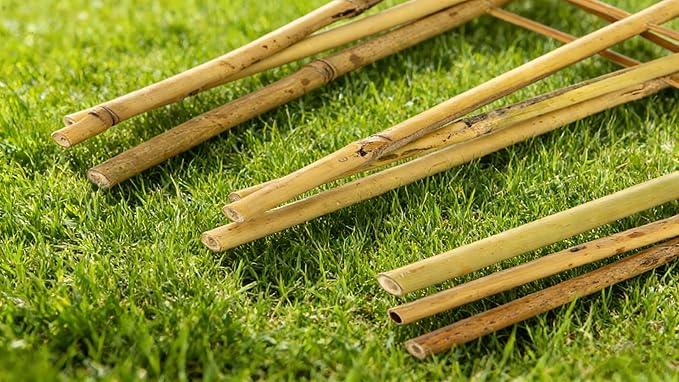 4 Pack 4 Feet Bamboo Trellis for Climbing Plants Outdoor, Taoskai Fan-Shape Garden Trellis for Tomatoes, Cucumbers, Peas, Flowers, Potted Plants, Plant Support
