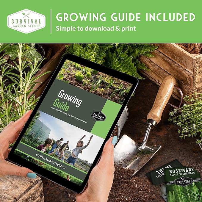 Three Sisters Collection Seed Vault - Non-GMO Heirloom Seeds for Planting Vegetables - Sweetcorn, Butternut Winter Squash & Pole Beans for Growing on Your Homestead - Survival Garden Seeds