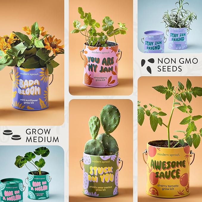 Modern Sprout Complimentary Color Grow Kits (Pack of 6) - Seed Starter Kit - Includes Strawberry, Sunflower, Cactus, Tomato, Melon & Lavender Seeds - Gardening Gifts That Grows with Love