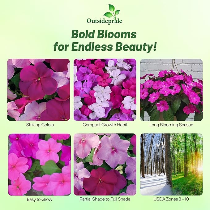 Outsidepride Xtreme Sapphire Mix Impatiens Flower Seeds - 100 Pcs Annual, Compact & Pollinator Friendly, Impatiens Seeds for Planting w/Vibrant, Abundant Blooms for Shade Gardens & Container Displays