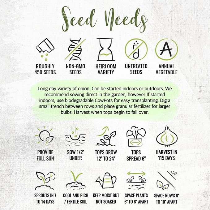Seed Needs Onion Seeds for Planting Walla Walla Long Day Onions - Non-GMO Heirloom & Untreated Vegetable Seeds to Plant an Outdoor Home Grown Veggie Garden (5 Packs)