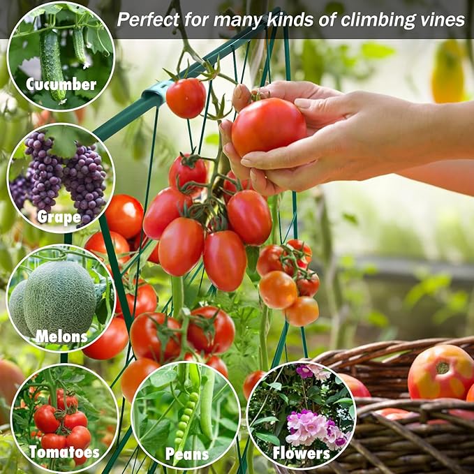 Thickened Cucumber Trellis for Raised Garden Bed,48"x16" Foldable Frame Metal Vegetable Trellis for Climbing Plants Outdoor Plant Support for Grape Tomato Peas, Fruit, Vine,Bean(Green) (1)