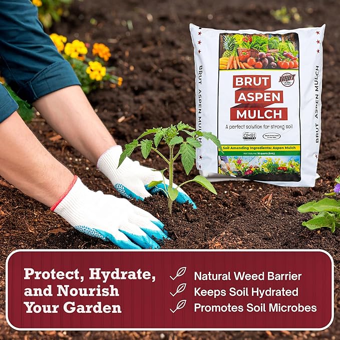 Brut Organic Aspen Mulch – 10 Quarts, Natural Moisture Retainer & Root Protector – Odor-Free, Nutrient-Rich Bark Mulch for Landscaping, Garden Beds & Potted Plants