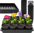 100 Pics Nursery Pots with 5 Pics Sturdy Seedling Trays, Space-Saving Gardening Kit for Indoor and Outdoor Use