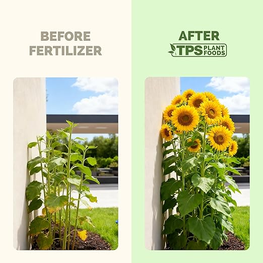 Sunflower Fertilizer – Liquid Plant Food for Bigger Blooms, Strong Stems & Vibrant Flower Color, 32 oz