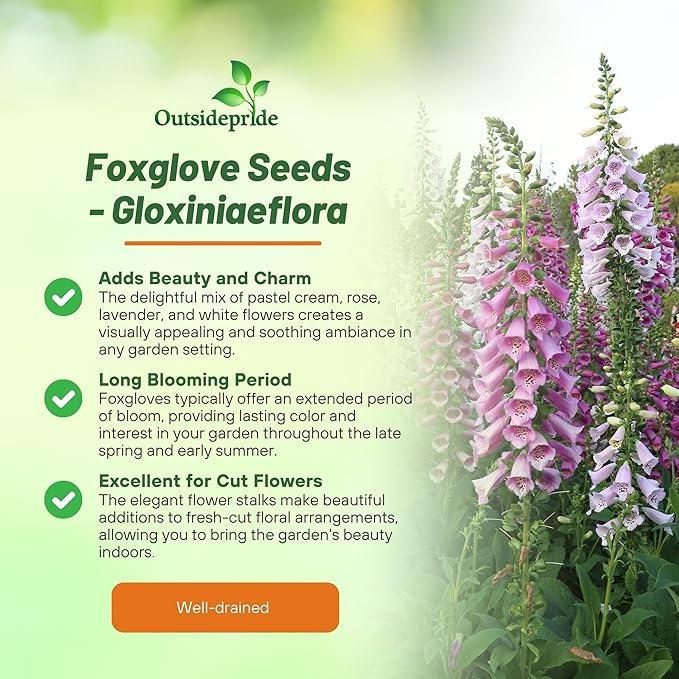 Outsidepride Digitalis Purpurea Gloxiniaeflora Mix Foxglove Seeds – 10000 Pcs Biennial, Prolific, Tall Growing Flower Seeds with Pollinator-Friendly Blooms for Shaded Gardens & Outdoor Landscapes