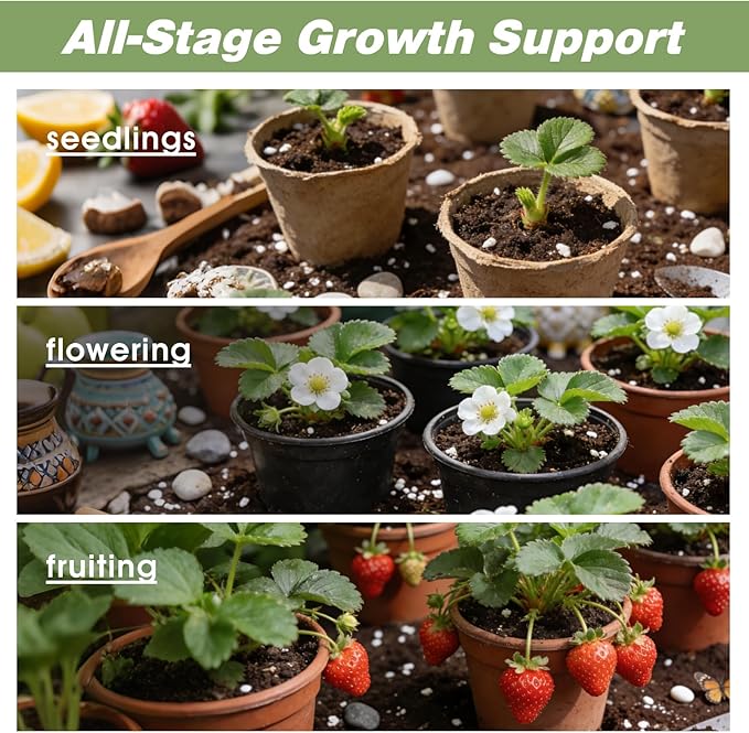 All-Natural Strawberry Soil & Potting Mix 4qt - Premium Potting Soil for All-Stage Strawberry Growth