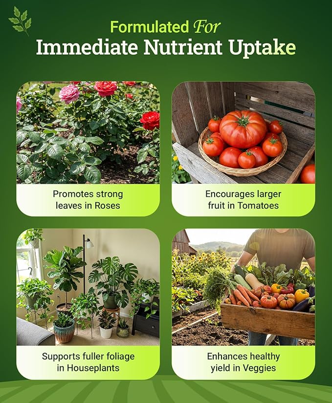 FoxFarm Grow Big Liquid Plant Food - Bloom Fertilizer for Flowers, Fruits, and Vegetables, Perfect for Indoor & Outdoor Potted Plants, NPK 6-4-4 (Quart)
