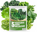 Groundio Lettuce Seeds, 5 Varieties Salad Greens Seeds, Non-GMO Heirloom Seeds for Planting Outdoor, Indoor or Hydroponic - Buttercrunch Lettuce, Romaine, Arugula, Kale and Spinach