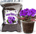 Organic African Violet Potting Mix, Indoor Plants Potting Mix for All Potted Saintpaulia, Grow Healthy houseplants Indoors
