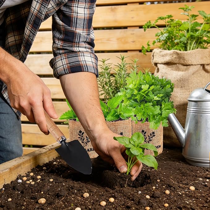 Indoor Herb Garden Starter Kit, 5 Seeds Growing into Basil, Parsley, Rosemary, Thyme, Mint, Including A Planter Box, Soil Discs & Planters with A Gift Box for Women