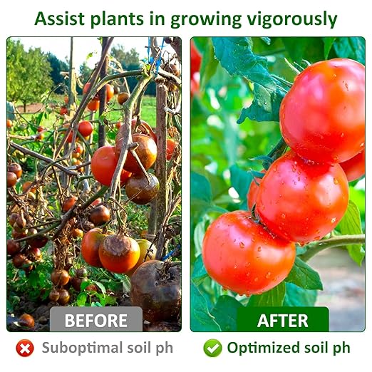 Oil pH Test Kit 100 Accurate pH Test Strip, Accurate & Easy-to-Use Soil Tester for Garden, Easy Soil Testing on Gardens, Lawns, Vegetables, Compost & Dirt, 4 Color Color Block