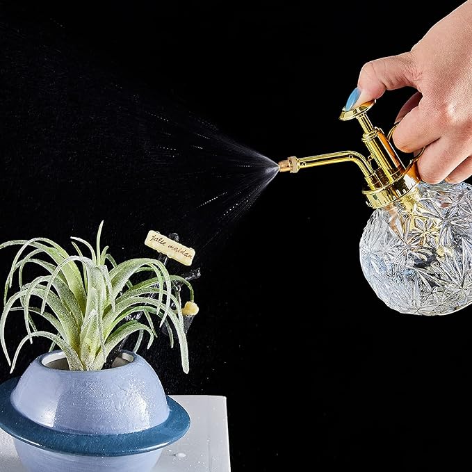 Glass Plant Mister Water Spray Bottle, Succulent Watering Bottle with Plastic Top Pump, 200 ML Capacity Vintage Style Plant Sprayer, Small Watering Can for Indoor Outdoor House Plants - Clear