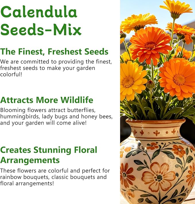 LUOJIBIE Calendula Seeds, Calendula Seeds for Planting Outdoor & Indoor, 8,000+ Pacific Beauty Mix Annual Flower Seeds Bulk, Non-GMO Flower Seeds, Large Blooms, Easy to Grow