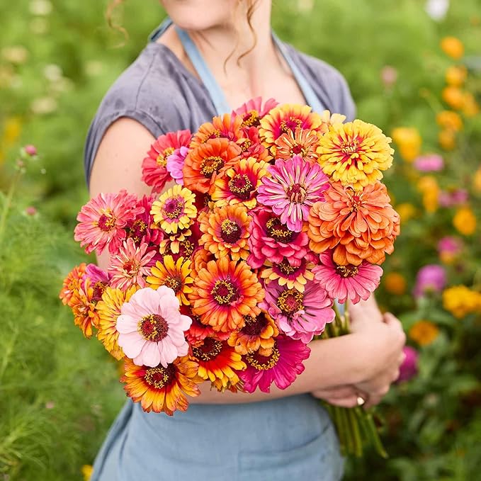 Eden Brothers Zinnia Seeds - Carrousel Mixed, Non-GMO Seeds for Planting, 1 lb | Low-Maintenance Flower Seeds, Plant During Spring, Zones 3, 4, 5, 6, 7, 8, 9, 10
