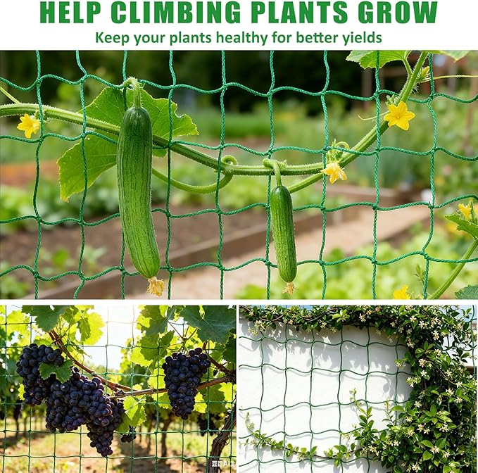 6.6x9.9FT Trellis Netting for Climbing Plants,Trellis Netting with Plant Clips, Heavy-Duty PE Trellis Net for Cucumber, Tomato, Vegetables, Fruits, Sweet Pea Plants