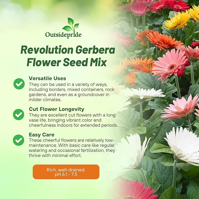 Outsidepride Revolution Select Mix Gerbera Seeds - 20 Pcs Perennial, Compact & Low Maintenance, Flower Seeds for Planting w/Vibrant Blooms, Ideal for Garden Landscaping & Cut Flower Arrangements