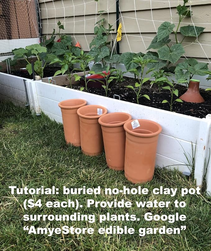 Bean Seeds for Planting Vegetables and Fruits.Pole Beans,Bush Beans,Romano Beans.Non GMO Garden Seeds for Home Vegetable Garden-6g,25ct+ Red Yard Long Pole Bean Seeds YardLong Asparagus Bean