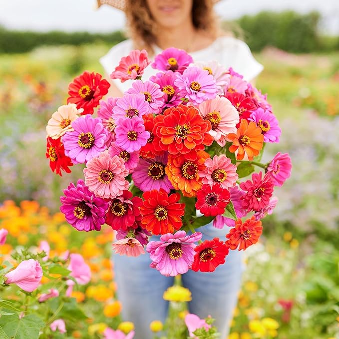 Eden Brothers Zinnia Seeds - Dahlia Flowered Mix, Non-GMO Seeds for Planting, 5 lbs | Low-Maintenance Flower Seeds, Plant During Spring, Zones 3, 4, 5, 6, 7, 8, 9, 10