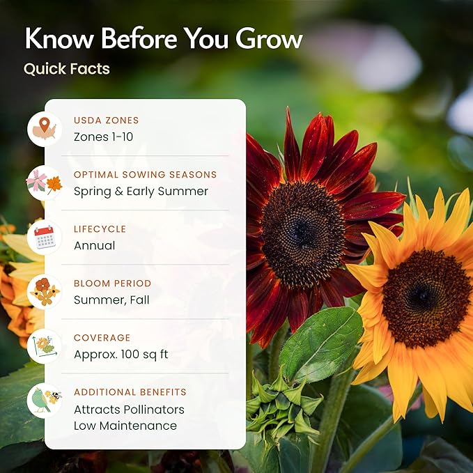 Created By Nature Sunflower Seeds to Plant, 9-Variety Sunflower Seed Mix, 1,000 Seeds