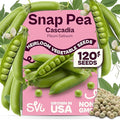 SVI 120 Cascadia Snap Pea Seeds (Pisum sativum) – Sugar Snap Peas, Sweet Peas Seed Packets, Pea Snaps Garden Seed Pack – Heirloom Vegetable Seeds Vegetable Garden, Raised Beds, Containers