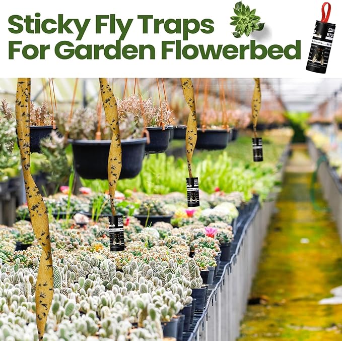 Qualirey 160 Pack Fly Strips Sticky Fly Trap Indoor Outdoor Hanging Ribbon Tape Paper Flying Insect Trap Gnat Killer Traps Catcher for Fruit Flies, Bug, Insect, Pest (Black)