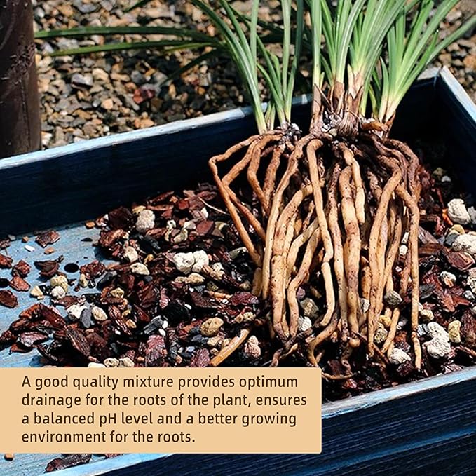 4 Quart Bonsai Soil Mix Lava,Pumice,Pine Bark and Calcined Rock, Natural Organic Mix for Potted Plants…