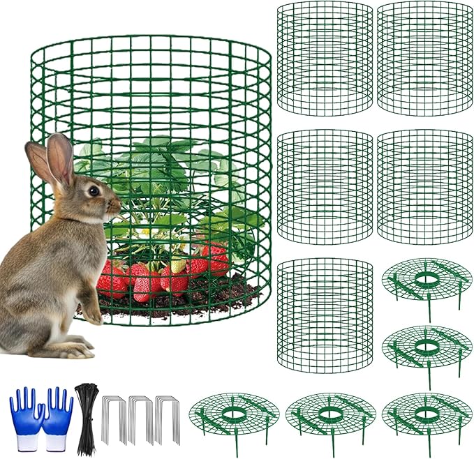 5 Sets Strawberry Plant Support with Wire Plant Protectors, 12.9"x 11.8" Wire Plant Cages and Strawberry Growing Racks, Animal Protection for Strawberry Tomato Garden Vegetables Plants