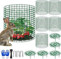 5 Sets Strawberry Plant Support with Wire Plant Protectors, 12.9"x 11.8" Wire Plant Cages and Strawberry Growing Racks, Animal Protection for Strawberry Tomato Garden Vegetables Plants
