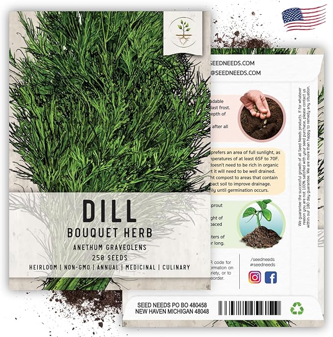 Seed Needs Dill Seeds for Planting Bouquet Herbs - Non-GMO Heirloom & Untreated Herb Seed to Plant a Home Grown Indoor/Outdoor Garden (1 Pack)
