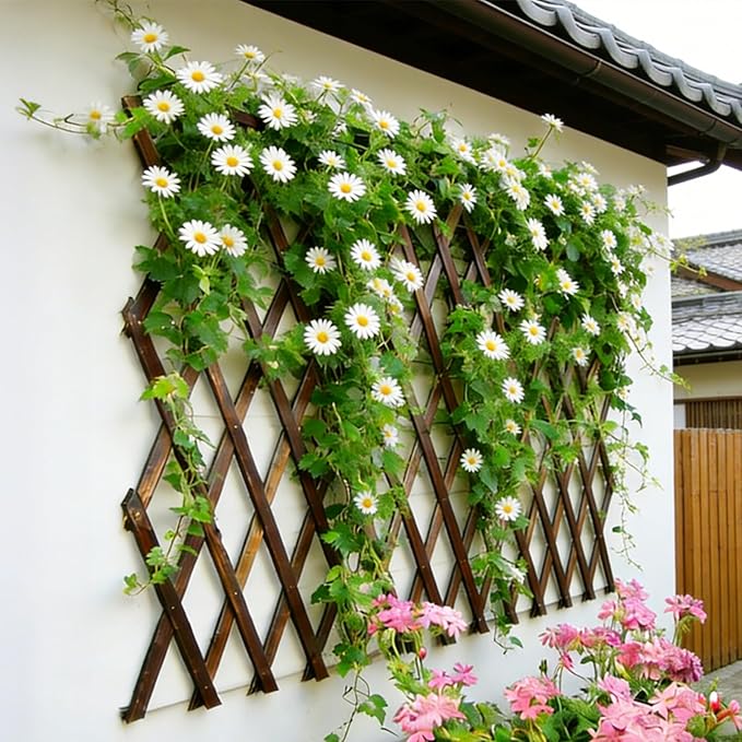 2 Pcs Expandable Garden Trellis, 38" x 89" Large Wooden Lattice Fence Wall Panel Lattice Trellis for Climbing Plants Outdoor Ivy Vine Rose Clematis for Garden Patio Room Decor (2)