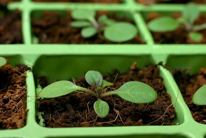 Thunder Acres Coco Coir Brick for Organic Use (20)