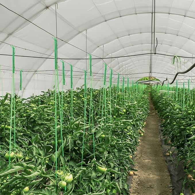 60Pcs Tomato Hooks with String with 33.3ft Twine & Tomato Clips, Tomato Holder Hooks to Prevent Tomatoes from Pinching or Falling Off（Green）