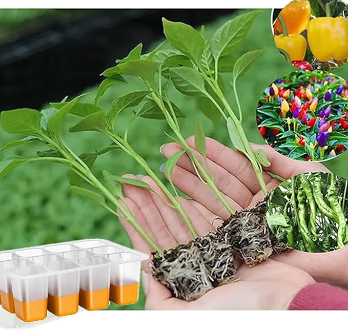 5pcs Seed Starter Tray, Silicone Seeding Starter with Pop-Out Cells (60 Cells in Total), Plant Growing Trays for Seed Starter, Indoor Seeding Planting Growing(5PCS,Orange)