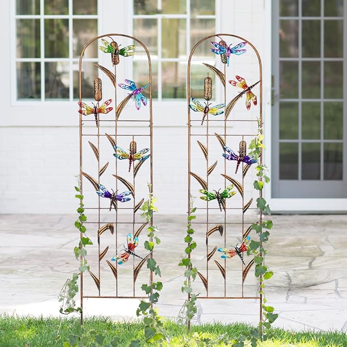 2 Pack Metal Garden Trellis with Colorful Dragonfly 60 Inch High Outdoor Decoration Arched Fence Trellis for Climbing Plants for Patio, Lawn, Yard, Backyard, Wall Brackets