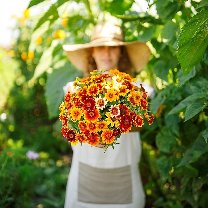Eden Brothers Zinnia Seeds - Old Mexico, Non-GMO Seeds for Planting, 1 oz | Low-Maintenance Flower Seeds, Plant During Spring, Zones 3, 4, 5, 6, 7, 8, 9, 10